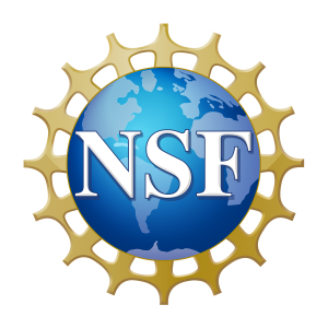 NSF-Logo-Transparent